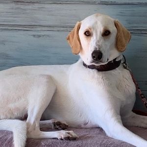 Meet your Posher, Eveline